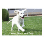o filhote de cachorro o mais bonito do mundo foto arte