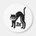 o gato u48 cronometra 3 ima de geladeira