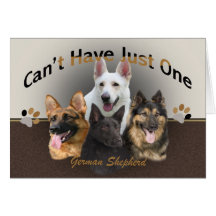 O german shepherd não pode ter apenas um carda cartao