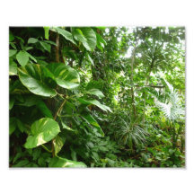O gigante sae da fotografia da planta da opinião d