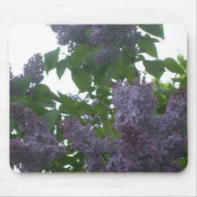 O Lilac aglomera o mousepad