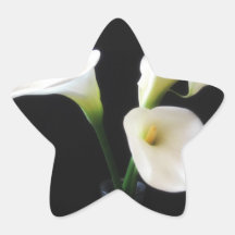 O lírio de Calla elegante floresce 12 Adesivo Em Forma De Estrela