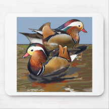 o mandarino ducks.jpg mousepad