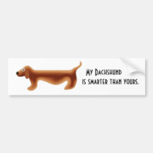o minidachshund, meu Dachshund, é mais esperto do  Adesivos