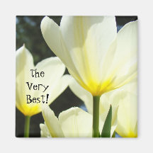 O muito melhor! tulipas do branco dos presentes do imã