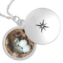 O pássaro Eggs o ninho Bijuterias