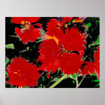 O poster da arte ou o vermelho das canvas floresce