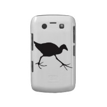 o pukeko swamphen capas blackberry bold
