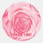 Obrigado etiqueta cor-de-rosa cor-de-rosa adesivos em formato redondos