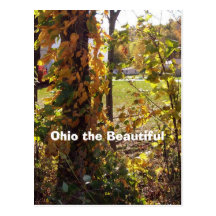 Ohio os bonitos, 29 cartões postais