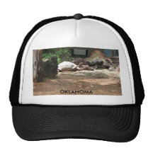OKLAHOMA BONÉ