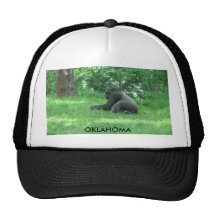 OKLAHOMA BONÉ