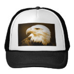 Olho de Eagle calvo do americano Bonés