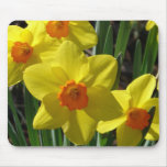Olho do Daffodil Mouse Pads