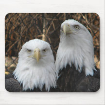 Olhos de Eagle Mousepads