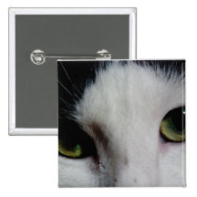 Olhos de gato (fotográficos) botons
