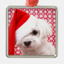 Ornamento do cão do Natal