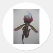 orquídea, deslizador de senhora adesivos em formato redondos