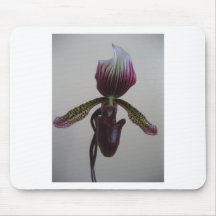 orquídea, deslizador de senhora mouse pads