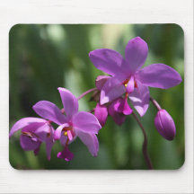Orquídea em Mousepad