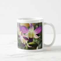 orquídea havaiana canegas