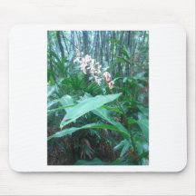 Orquídea Mousepad