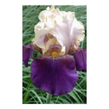 Orquídea Papel Personalizados