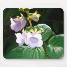Orquídea roxa Mousepad de Fiji