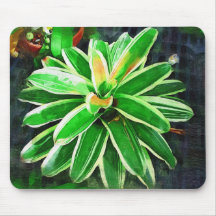 orquídea tropical, paisagem de florida mouse pad