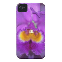 Orquídeas roxas capas iPhone 4