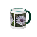 Osteospermum Canecas