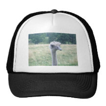 ostrichhead.JPG Boné