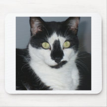 Paco o gatinho mouse pad