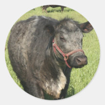 Pai grande da fazenda adesivos