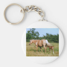 País do cavalo chaveiro