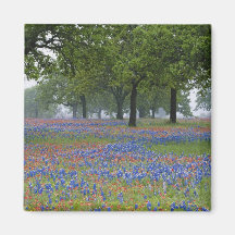 País do monte de Texas, Texas, pincel de Texas e Imã De Geladeira