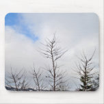 Paisagem atrasada do inverno com árvores secas mouse pad