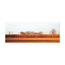paisagem impressão de canvas esticadas