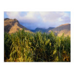 Paisagem havaiana cartoes postais