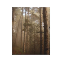 Paisagem natural das árvores de floresta impressão em tela canvas
