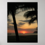 Palm Beach Posteres