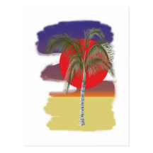 Palmeira palm tree cartão postal
