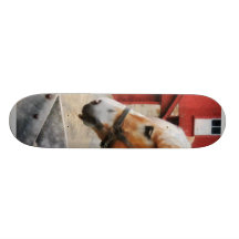 Palomino pelo celeiro vermelho skate boards