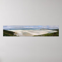 Panorama da praia de Whitehaven Posters