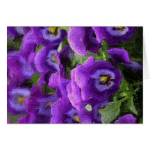 pansies cartao