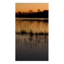 Pantanal no por do sol modelos cartões de visitas
