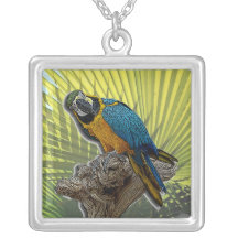Papagaio #2 com palmas colar personalizado