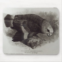 Papagaio do Amazon de Guilding Mouse Pad