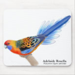 Papagaio Mousepad de Adelaide Rosella