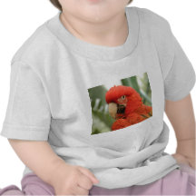 Papagaios Tshirt